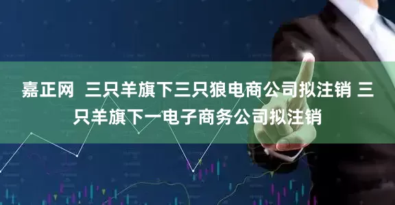 嘉正网  三只羊旗下三只狼电商公司拟注销 三只羊旗下一电子商务公司拟注销
