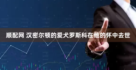 顺配网 汉密尔顿的爱犬罗斯科在他的怀中去世